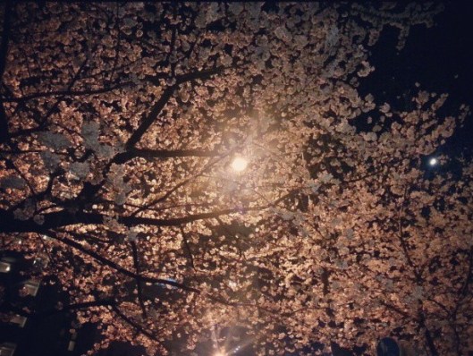 snsd taeyeon instagram